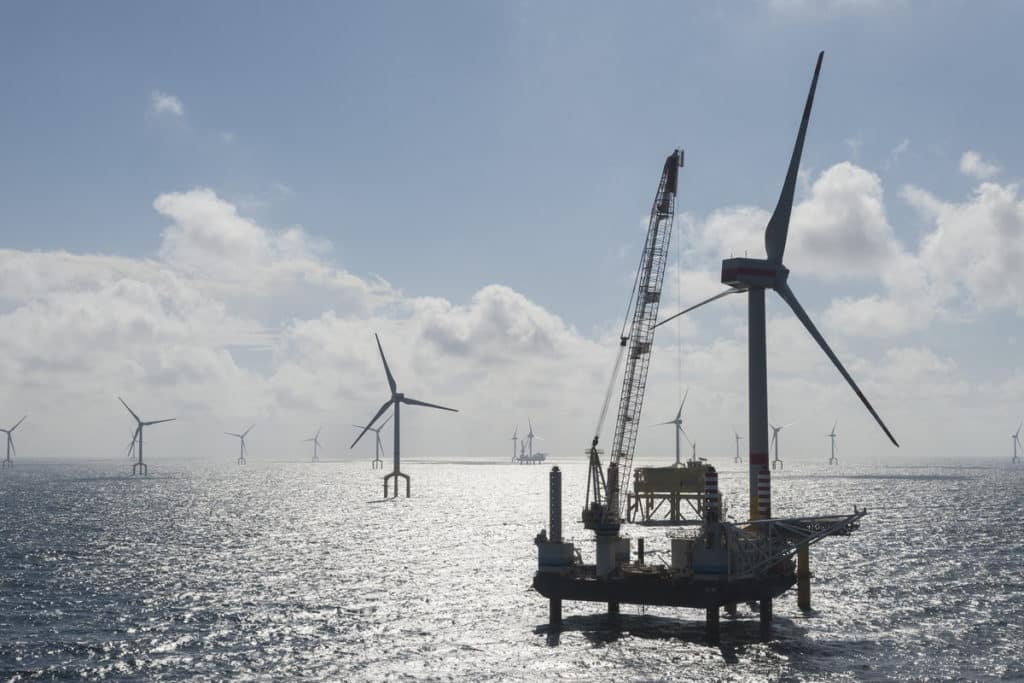 Morskie farmy wiatrowe TenneT / Portal Stoczniowy