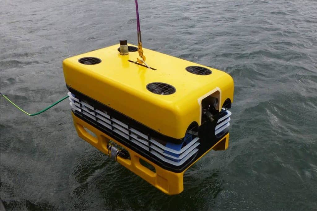 Morświn / Portal Stoczniowy