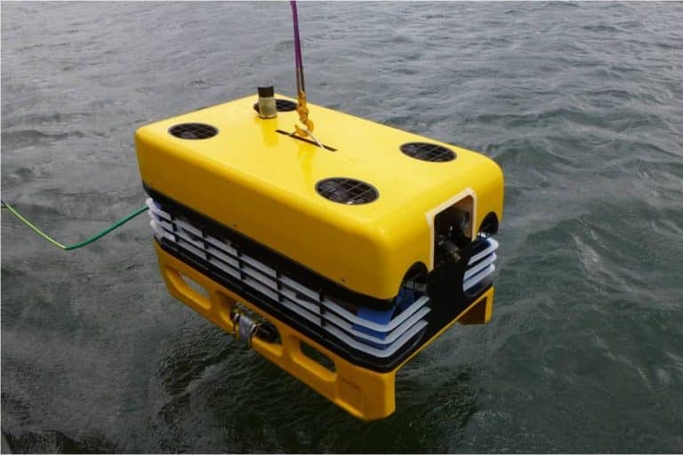 Morświn / Portal Stoczniowy