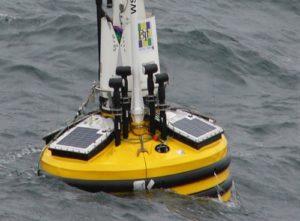 Baltic Trade & Invest / Portal Stoczniowy