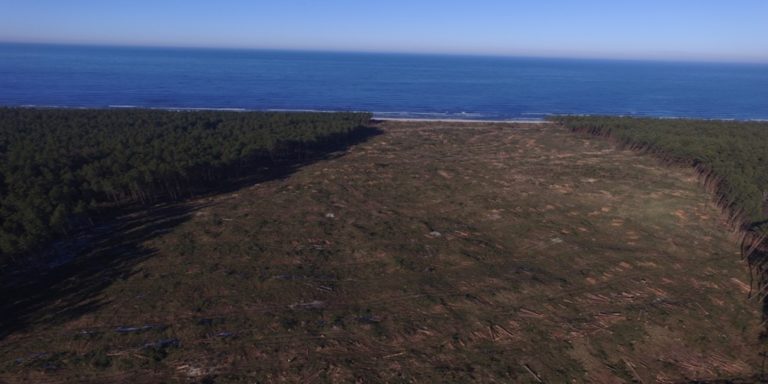 Wykonawca przekopu Mierzei Wiślanej na placu budowy / Portal Stoczniowy