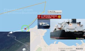 Ataki piratów w Zatoce Gwinejskiej / Portal Stoczniowy