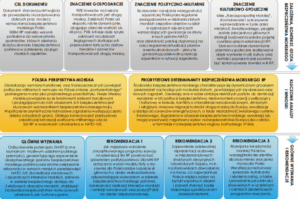 Idea Strategicznej Koncepcji Bezpieczeństwa Morskiego RP / Portal Stoczniowy