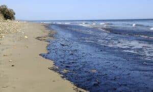 Sąd zakazał dyrekcji rafinerii należącej do Repsolu wyjazdu z kraju / Portal Stoczniowy