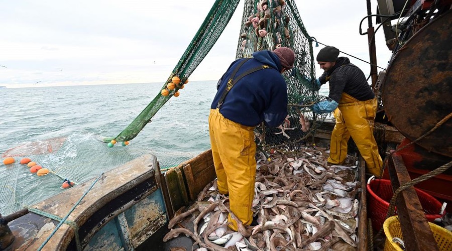 Francja grozi wyspie Jersey odwetem za blokowanie dostępu francuskim rybakom do łowisk