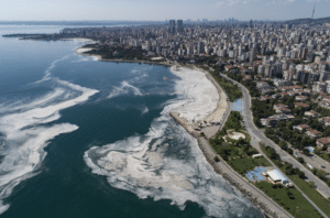 Morze Marmara 1