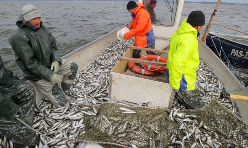 Konfederacja: sprzeciwiamy się likwidacji rybołówstwa na Zalewie Wiślanym