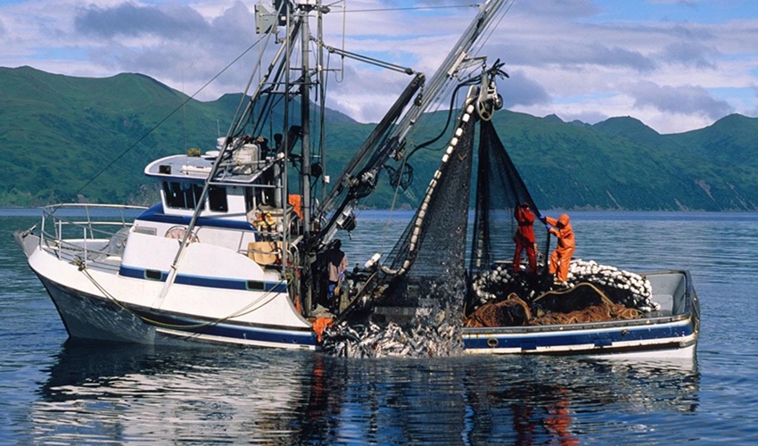 „Guardian”: blockchainy mogą ograniczyć oszustwa popełniane w rybołówstwie