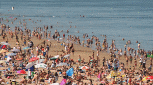plaża
