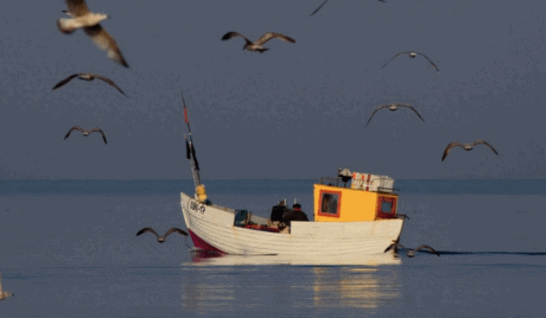 Pomorskie: Koniec protestu rybaków rekreacyjnych na drodze we Władysławowie