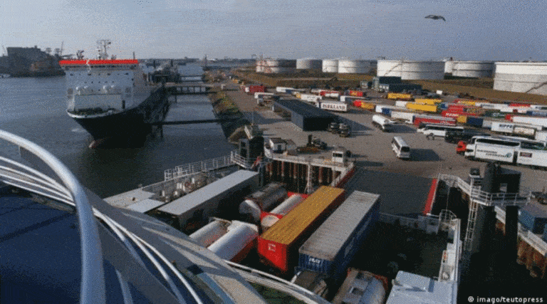 Celnicy udaremnili przemyt blisko 500 kg kokainy / Portal Stoczniowy