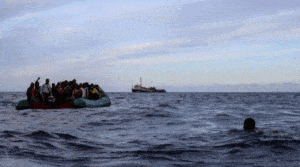 migranci
