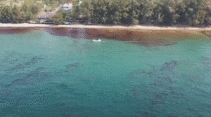 Wyciek ropy zagraża wybrzeżom i rafie koralowej Tajlandii / Portal Stoczniowy