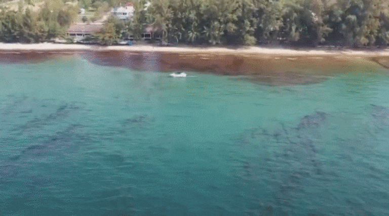 Wyciek ropy zagraża wybrzeżom i rafie koralowej Tajlandii / Portal Stoczniowy