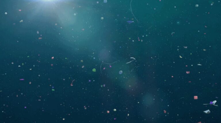 Oceaniczne głębiny pełne plastiku / Portal Stoczniowy