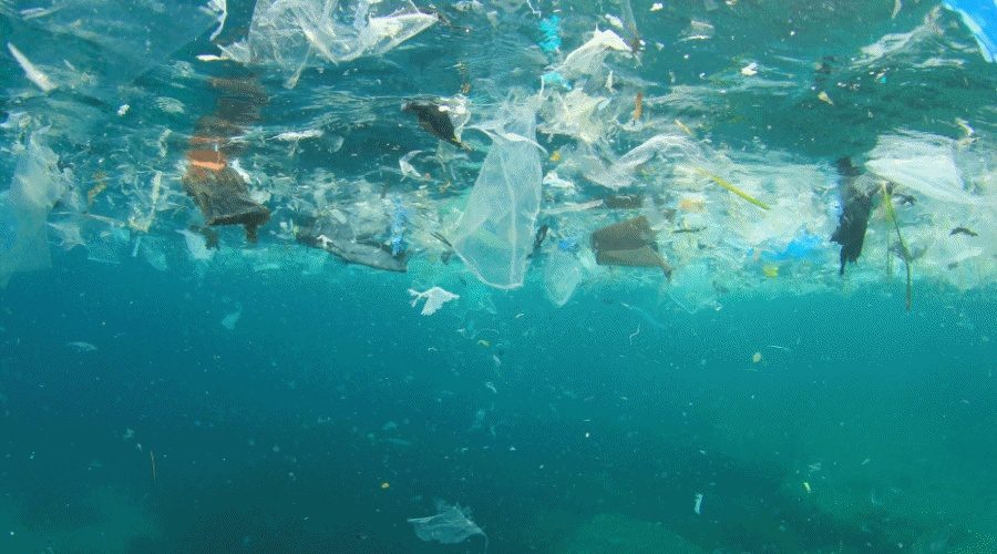 Raport WWF: Jednorazowy plastik odpowiada za ponad 60 proc. zanieczyszczenia oceanów / Portal Stoczniowy
