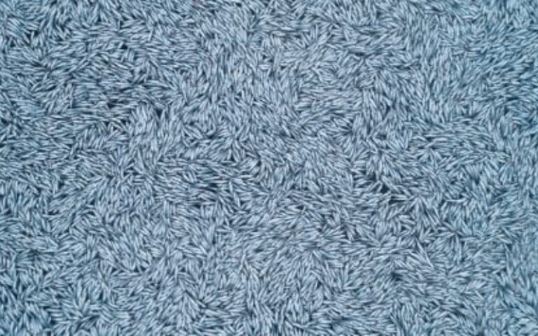 Około 100 tys. martwych ryb wyrzuconych do morza / Portal Stoczniowy