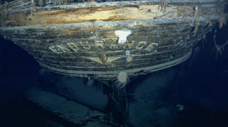 Odnaleziono słynny okręt Shackletona / Portal Stoczniowy