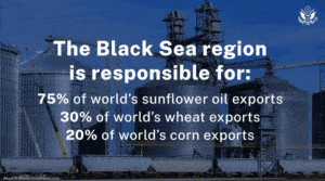 Rosyjska marynarka wojenna blokuje ponad 90 statków / Portal Stoczniowy