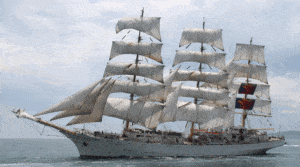 Narodowe Muzeum Morskie szuka uczestników regat Operation Sail 1972 / Portal Stoczniowy