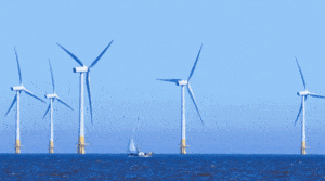 Holandia: Porty w tym kraju napędzają Morską Energetykę Wiatrową / Portal Stoczniowy