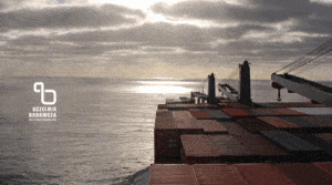 „Design-for-safety" – bezpieczny transport morski / Portal Stoczniowy