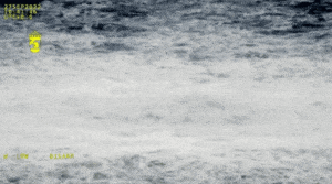 Promy Polferries pływają – Nord Stream zmaga się z problemami / Portal Stoczniowy