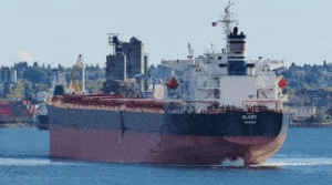 Grecki masowiec Glory, płynący z ładunkiem ukraińskiego zboża do Chin, wszedł dzisiejszego ranka na mieliznę w Kanale Sueskim, w pobliżu miasta Qantara / Portal Stoczniowy