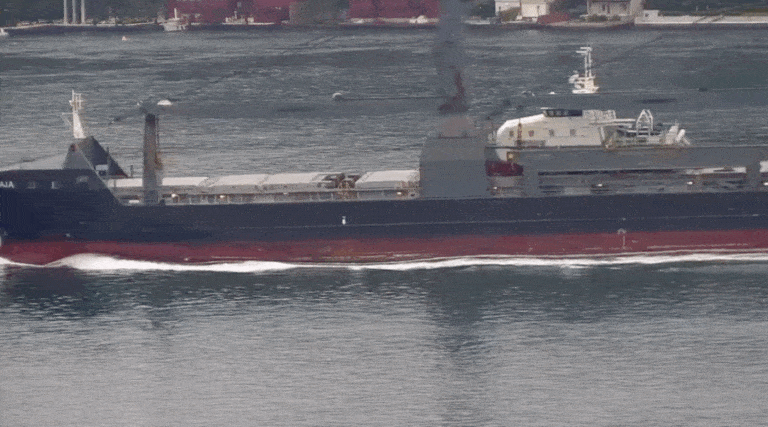 statek towarowy Gaja/Portal Stoczniowy