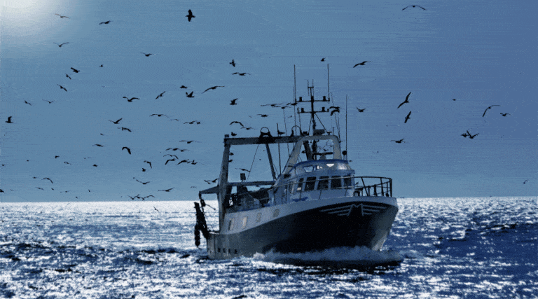 rybołówstwo / Portal Stoczniowy