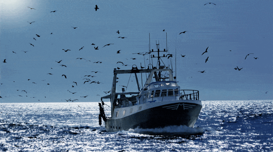 rybołówstwo / Portal Stoczniowy