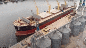 Eksport Zboża / Portal Stoczniowy