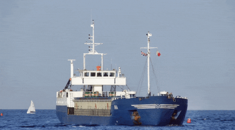 Drobnicowiec Amanos / Portal Stoczniowy