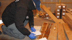 kokaina / Portal Stoczniowy