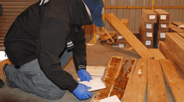 kokaina / Portal Stoczniowy