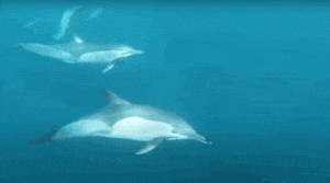 Zmiany klimatyczne / Portal Stoczniowy