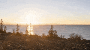 Skyborn / Portal Stoczniowy