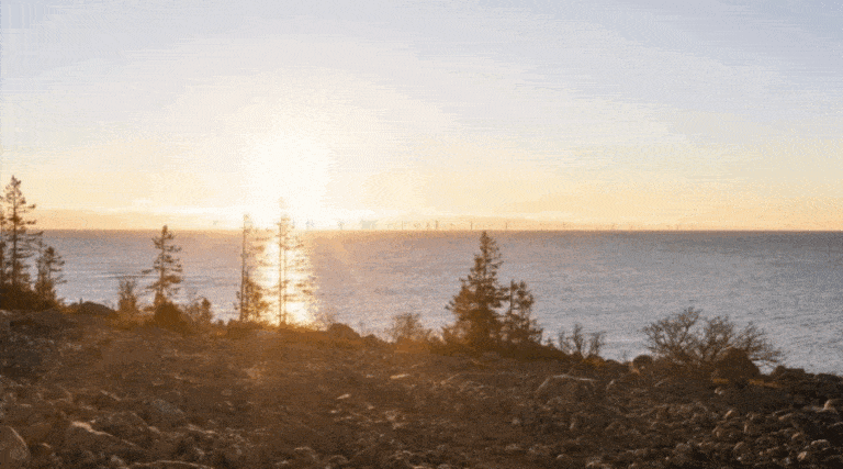 Skyborn / Portal Stoczniowy