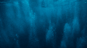 Tajemnicze procesy geologiczne Malezyjskiego Płaskowyżu Granicznego na dnie Oceanu Spokojnego / Portal Stoczniowy