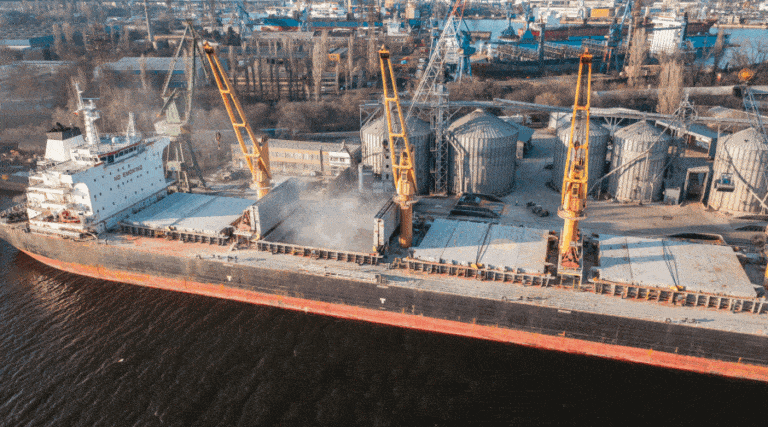 Dynamiczny wzrost eksportu ukraińskich produktów rolnych / Portal Stoczniowy