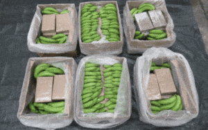 Brytyjski cios w przemyt: Konfiskata 5,7 tony kokainy / Portal Stoczniowy