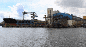 Wstrzymanie dzierżawy terminala zbożowego w Gdyni / Portal Stoczniowy