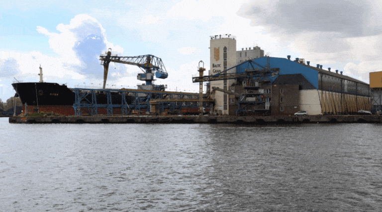 Wstrzymanie dzierżawy terminala zbożowego w Gdyni / Portal Stoczniowy