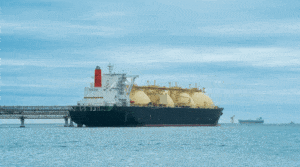 Francja liderem importu rosyjskiego LNG w UE / Portal Stoczniowy