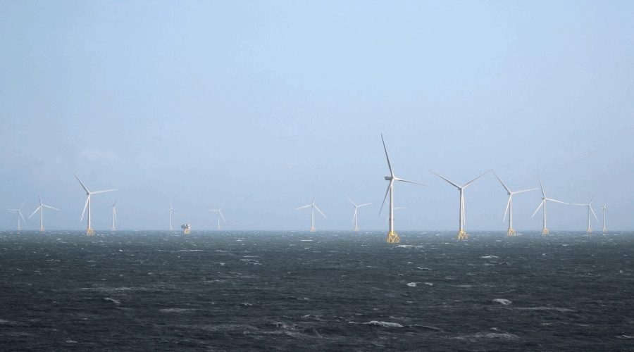 Ocean Winds zdobywa licencję na morską farmę wiatrową w Australii / Portal Stoczniowy