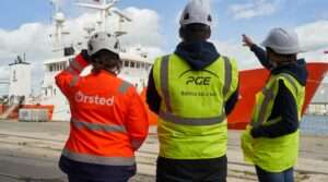 PGE i Ørsted rozpoczynają monitoring ptaków i morświnów / Portal Stoczniowy