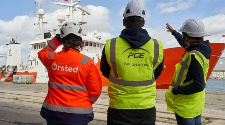 PGE i Ørsted rozpoczynają monitoring ptaków i morświnów / Portal Stoczniowy