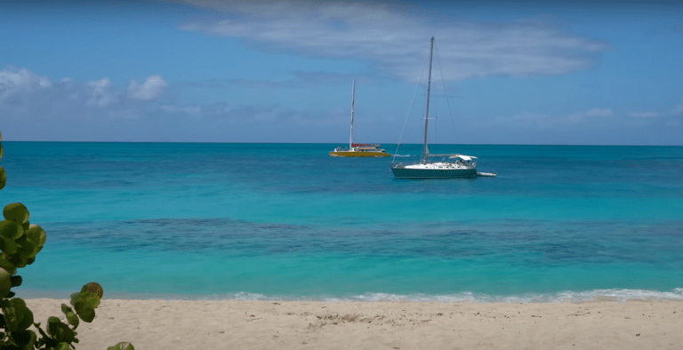 Gdzie uciec od zimowej szarugi i znaleźć słońce? / Portal Stoczniowy