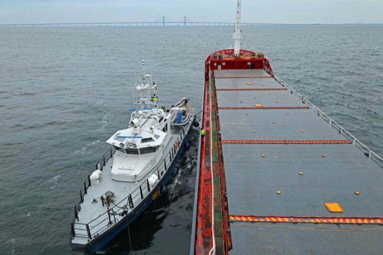 Okolice mostu Øresund: dwa masowce weszły na mielizne / Portal Stoczniowy