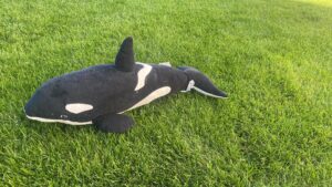 Orka na ślepo. Czy Polska zapłaci miliardy bez transferu technologii? / Portal Stoczniowy